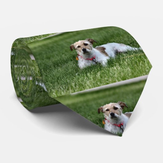 Cravate Jack (Roulé)