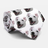 Cravate - Jack Russell Terrier (Roulé)