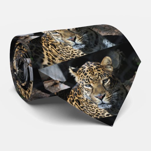 Cravate Jaguar (Roulé)