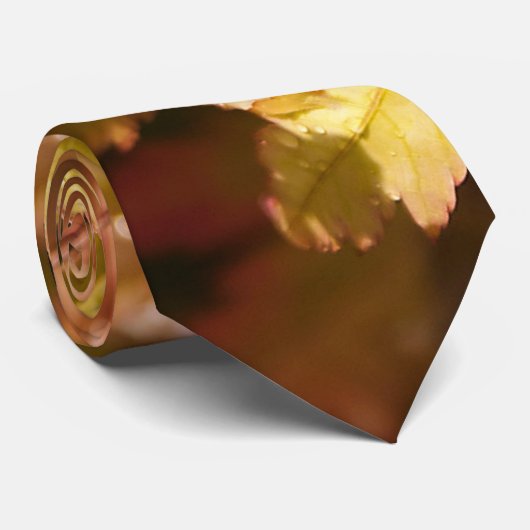 Cravate japonaise moderne (Roulé)