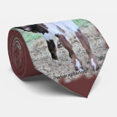 Cravate JoleeTie- (Roulé)