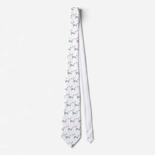 Cravate joli colibri spatulett (Devant)