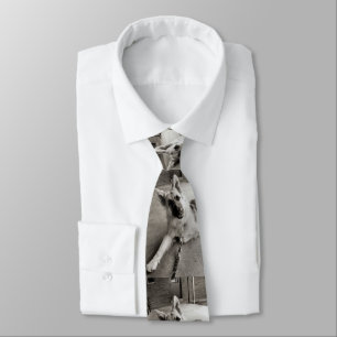 Cravate Jours scolaires