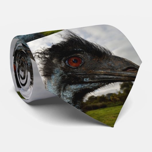 Cravate "Jumelage dans l’oeil : un regard curieux d’Emu" (Roulé)