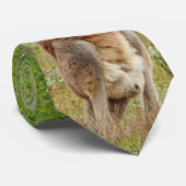 Cravate Kangaroo -1, (Roulé)