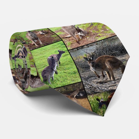 Cravate Kangaroo Photo Collage, (Roulé)