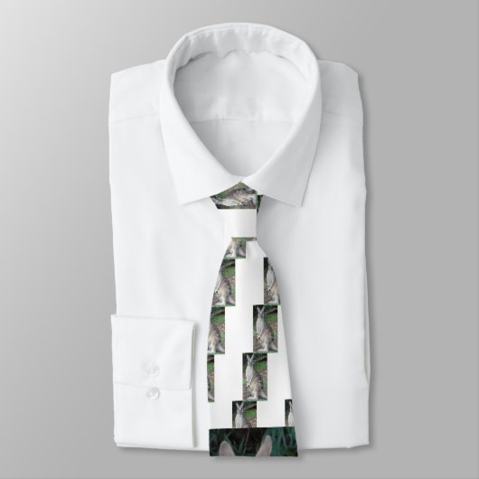 Cravate Kangourou et Joey (Attaché)