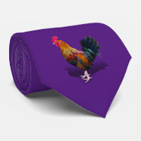 Key West - Coq gitan