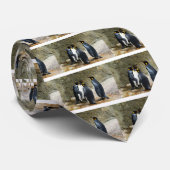 Cravate King Penguin (Roulé)