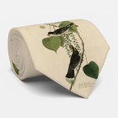 Cravate Kingbird de l'est des oiseaux d'Amérique d'Audubon (Roulé)