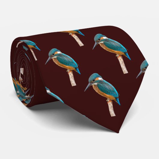 Cravate Kingfisher (Roulé)