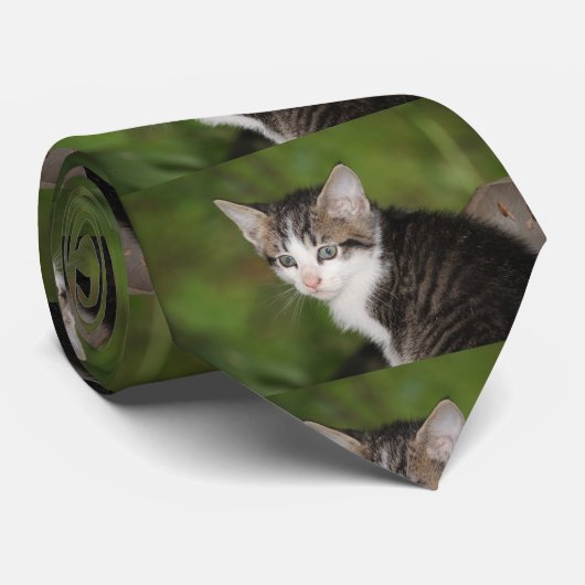 Cravate Kitten (Roulé)