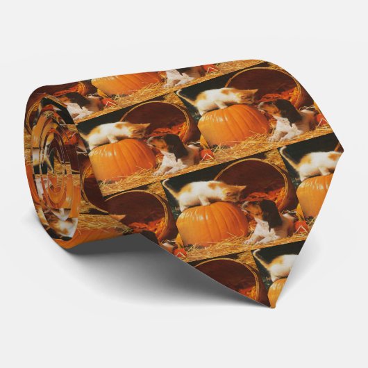 Cravate Kitten, Citrouille et chiot (Roulé)