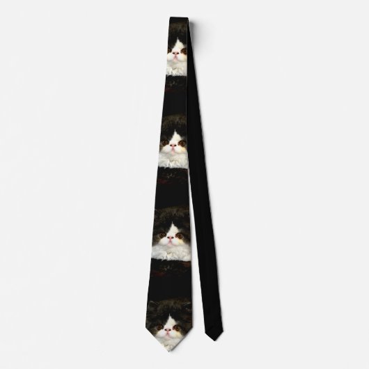Cravate Kitten noir minimaliste (Devant)