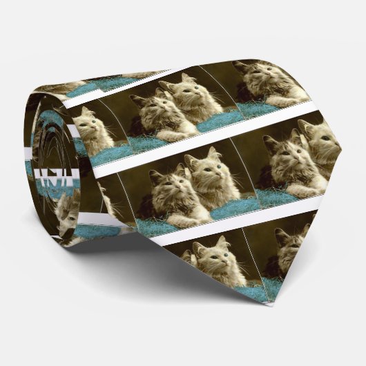 Cravate Kitty (Roulé)