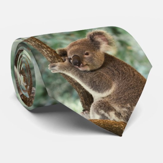 Cravate Koala australien (Roulé)