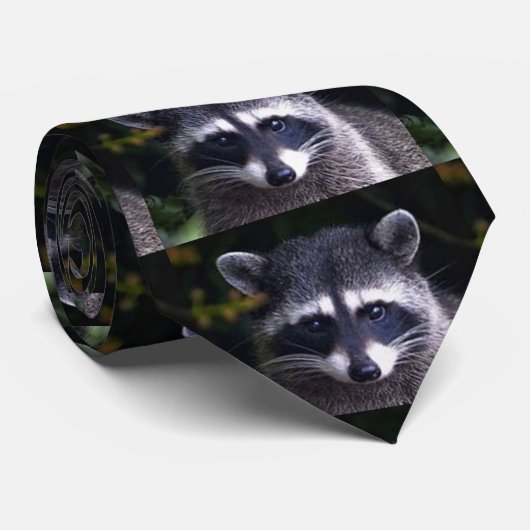 CRAVATE LA "CRAVATE RACOON" ULTIME (Roulé)