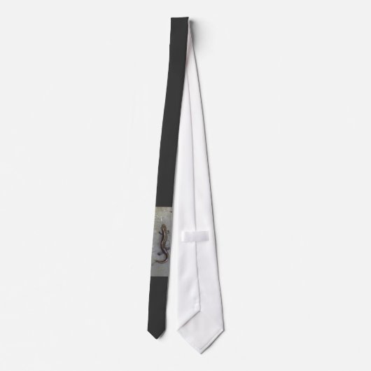 Cravate La salamandre (Dos)
