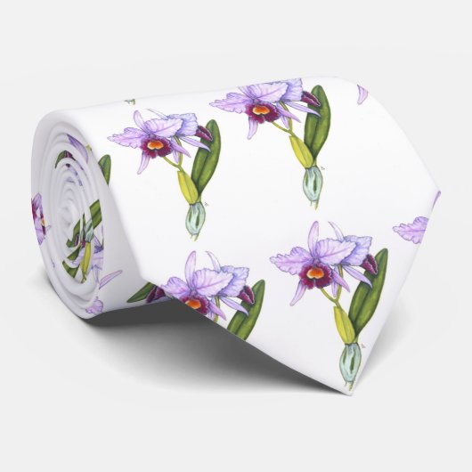 Cravate Labiata de Cattleya (Roulé)