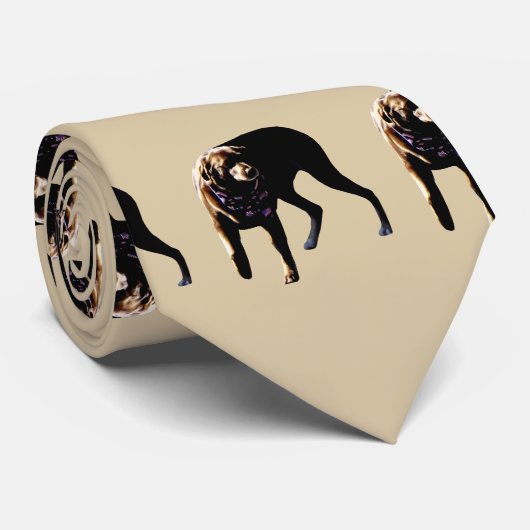 Cravate Laboratoire de chocolat (Roulé)