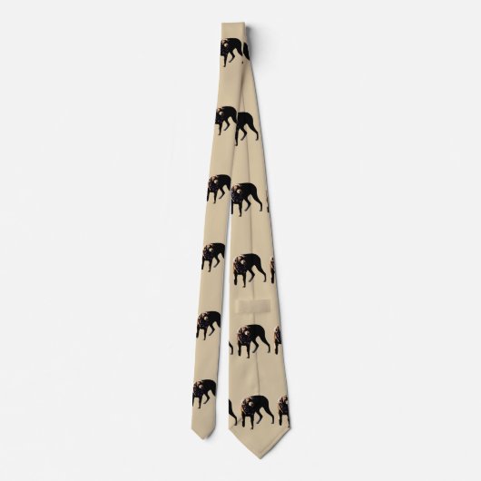 Cravate Laboratoire de chocolat (Dos)