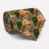 Cravate Laboratoire jaune (Roulé)