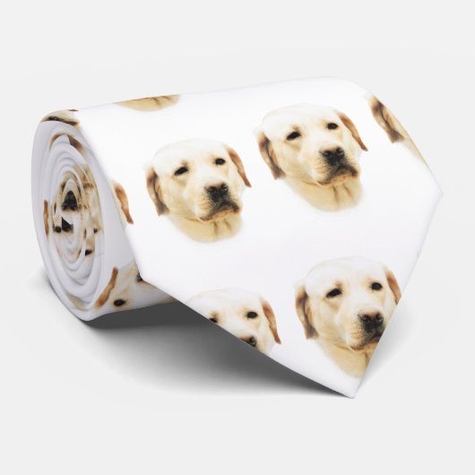Cravate Labrador retriever (Roulé)