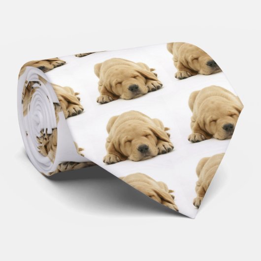 Cravate Labrador retriever jaune (Roulé)