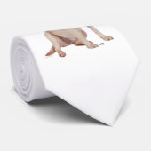 Cravate Labrador Retriever Jaune Marin (Roulé)