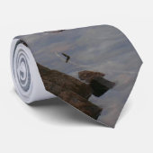 Cravate Lac Eagle dans le parc national d'Acadia (Roulé)