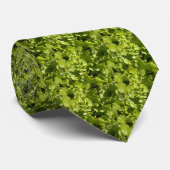 Cravate Laitue verte (Roulé)