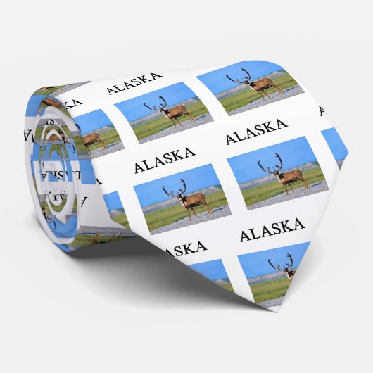 Cravate l'Alaska (Roulé)