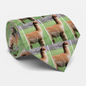 CRAVATE "L'ALPACA ULTIME" (Roulé)