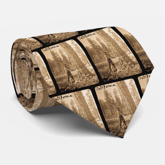 Cravate Lanterne magique ouvrant une session la vallée de (Roulé)