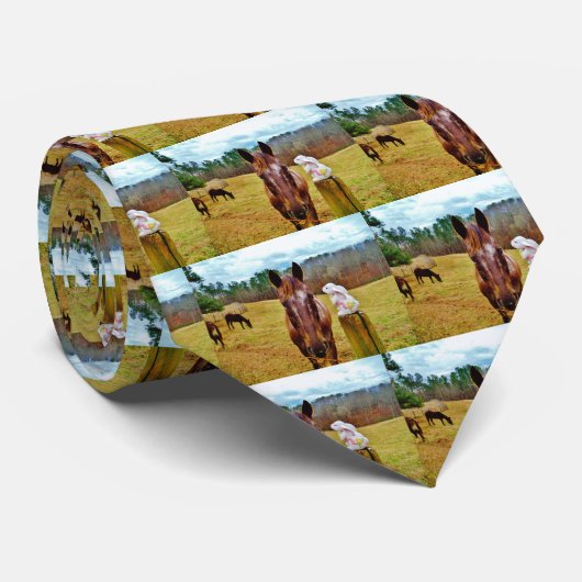 Cravate Lapin de Pâques et cheval Brown (Roulé)