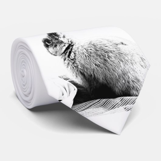 Cravate lapin noir et blanc (Roulé)