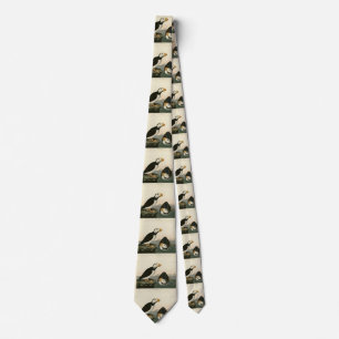 Cravate Large billed Puffin - Audubon's Birds of America