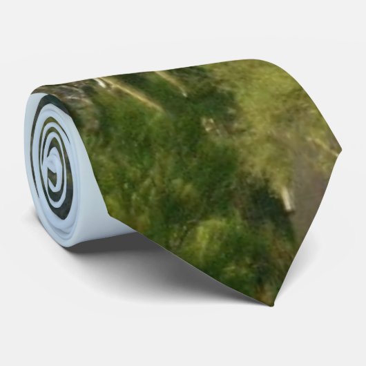 Cravate L'Arizona (Roulé)