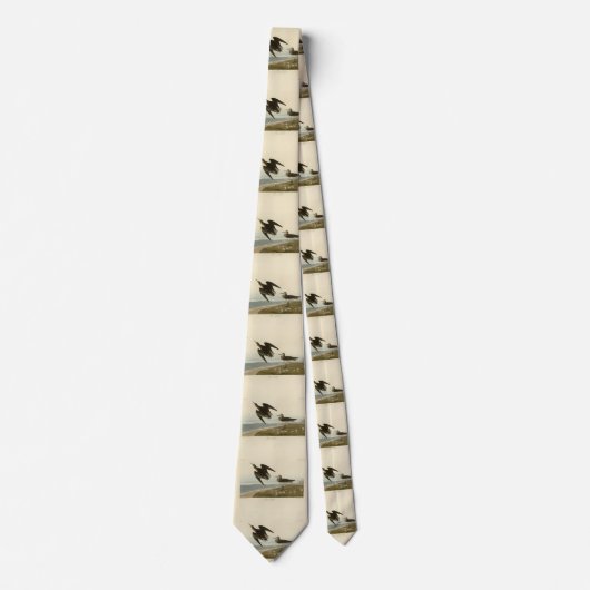 Cravate Le bécasseau de Schinz des oiseaux d'Amérique d'Au (Devant)