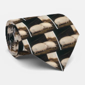 Cravate le bröther peut j'avoir quelques öats (Roulé)