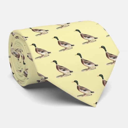 Cravate Le canard colvert ou sauvage (Anas platyrhynchos) (Roulé)