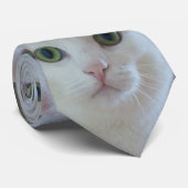 Cravate le chat blanc (Roulé)