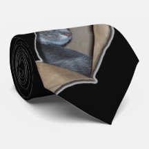 Le coup d'oeil I voient pour miauler