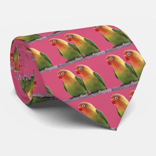 Cravate "Le Lovebird de Fischer" (Roulé)