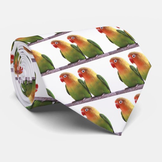 Cravate "Le Lovebird de Fischer" (Roulé)