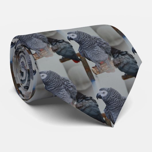 Cravate Le perroquet gris du Congo en miroir (Roulé)