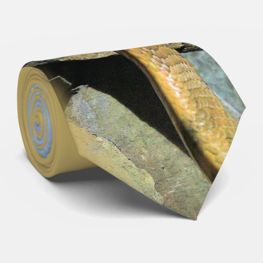 Cravate Le roi (Roulé)