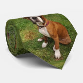 Cravate Le tie DOGUE BOXER (Roulé)