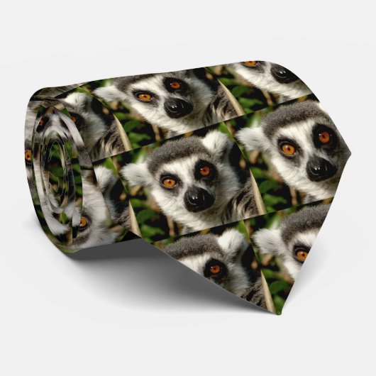 Cravate Lemur1 (Roulé)