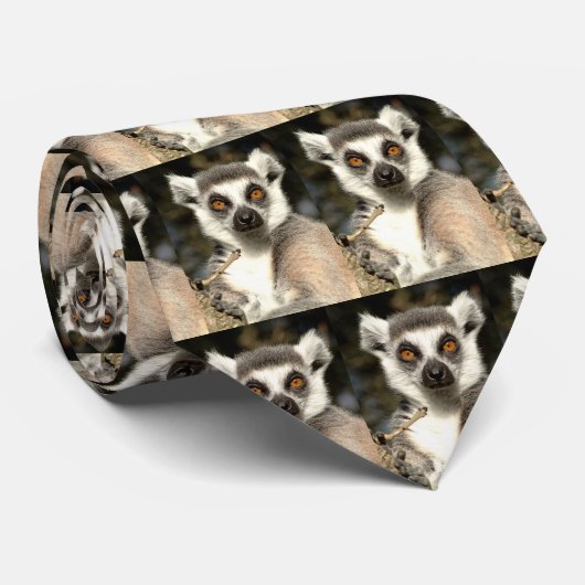Cravate Lemur2 (Roulé)